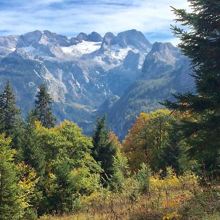 Dachstein Mountainview Gosau Apartment ภายนอก รูปภาพ