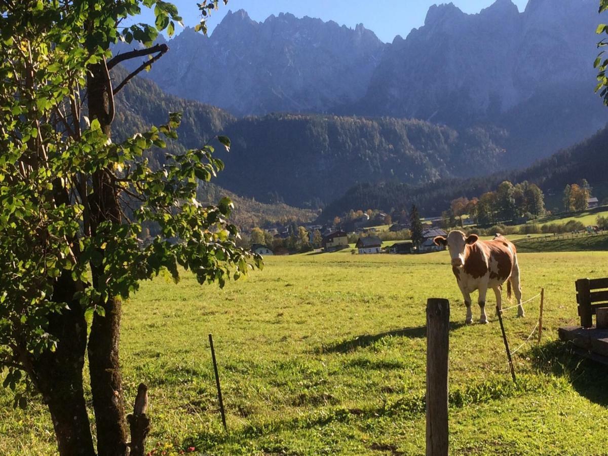 Dachstein Mountainview Gosau Apartment ภายนอก รูปภาพ