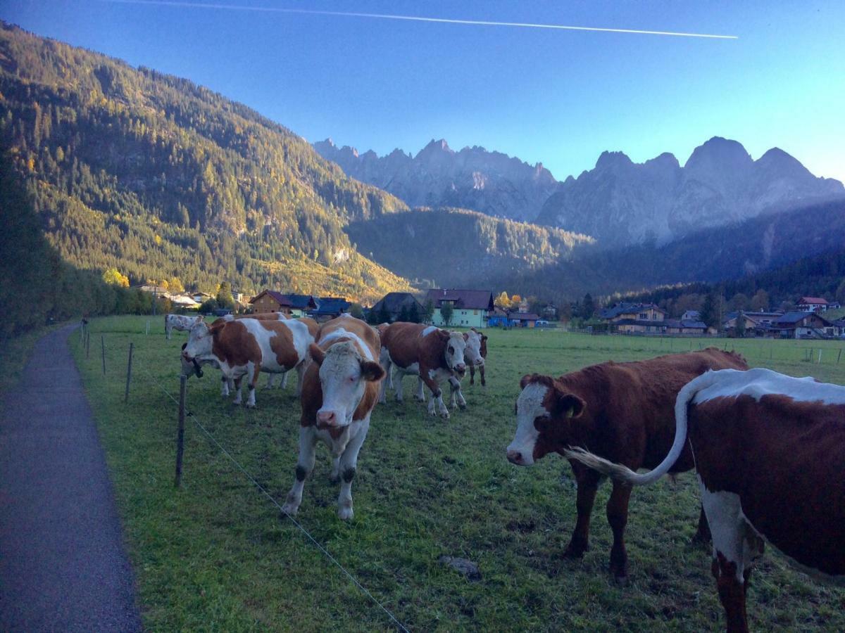 Dachstein Mountainview Gosau Apartment ภายนอก รูปภาพ