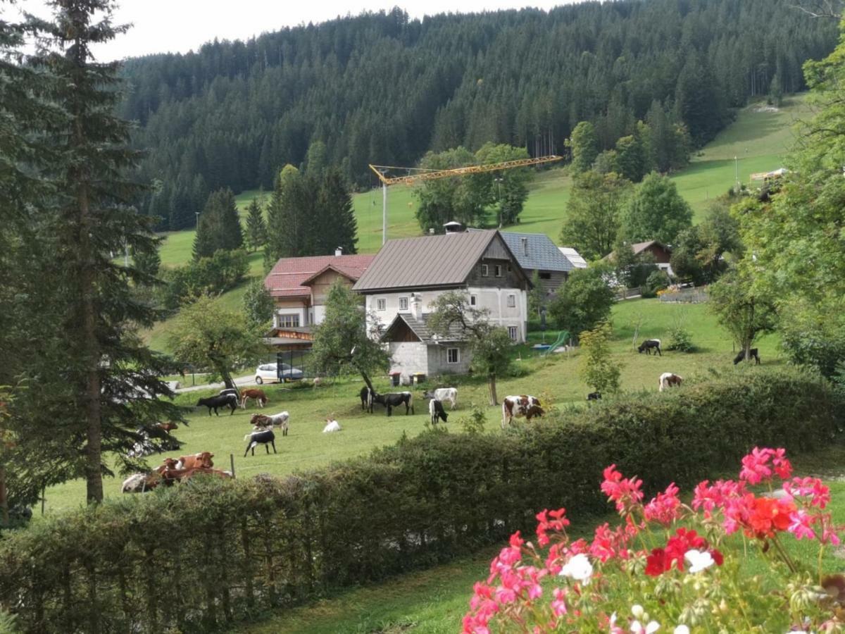 Dachstein Mountainview Gosau Apartment ภายนอก รูปภาพ